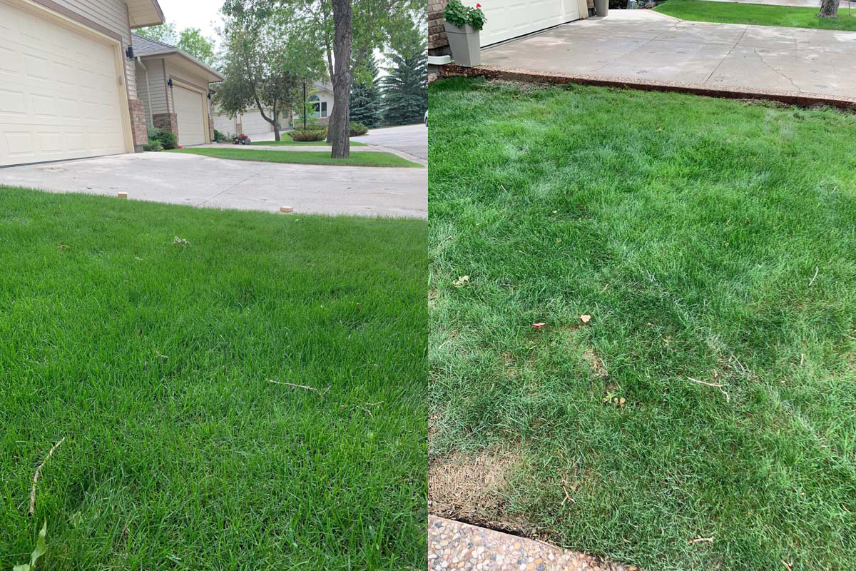 slabmaster-driveway-repair-M